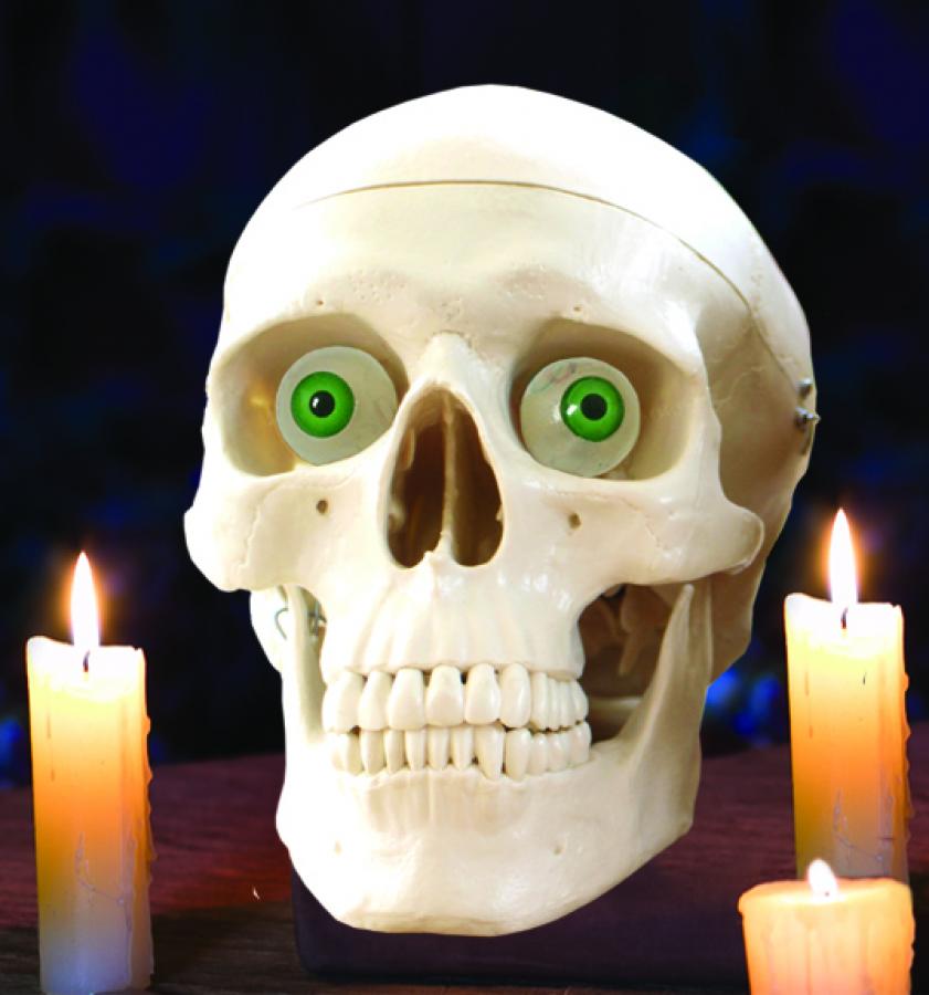 Wee Little Talker Skull Kit