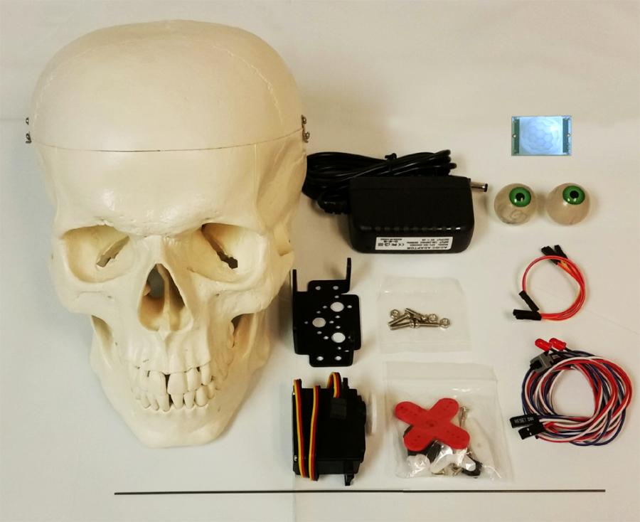 Wee Little Talker Skull Kit Brain Boost