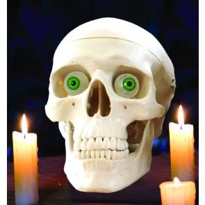 Wee Little Talker Skull Kit